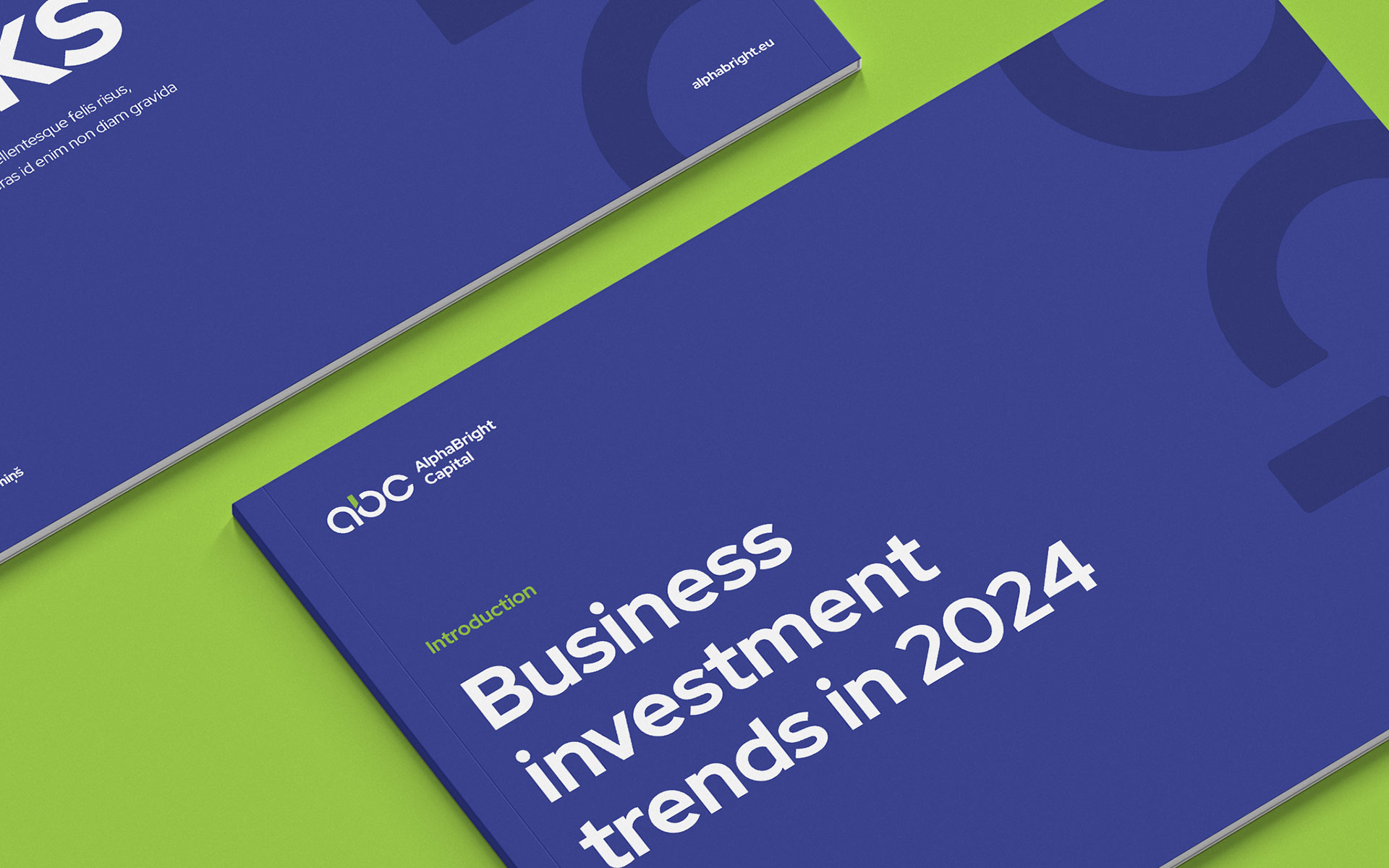 Investment company AlphaBright Capital visual identity